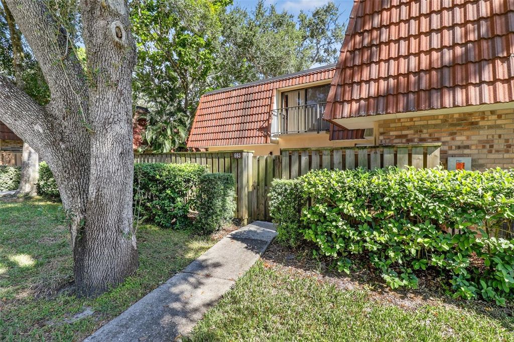 Photo of 693 1st Court, Palm Harbor, FL 34684 (MLS # TB8440830)