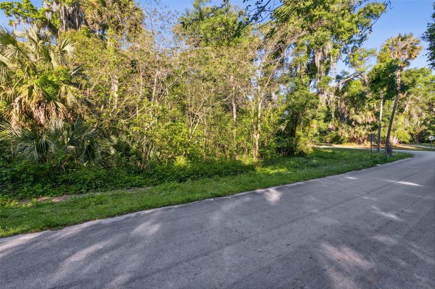 DELEON SPRINGS: Old Florida becomes a new opportunity in this growing community located in Central Florida. This listing is for one 85 x 125 lot. The property is recently surveyed and ready to be cleared for you to build in a no HOA neighborhood. Located approximately a 1/2 mile to DeLeon Springs State Park, a short walk or bicycle ride will bring you to of one of Central Florida's most beautiful springs and the famous Old Sugar Mill Restaurant! Just a short drive from DeLand, this location maintains its quaint, rural feel with easy access to modern conveniences, local attractions and beaches. Three adjacent lots are available on this street if you would like additional space. All information is intended to be correct and should be independently verified by buyer. Call today to own your own slice of paradise!