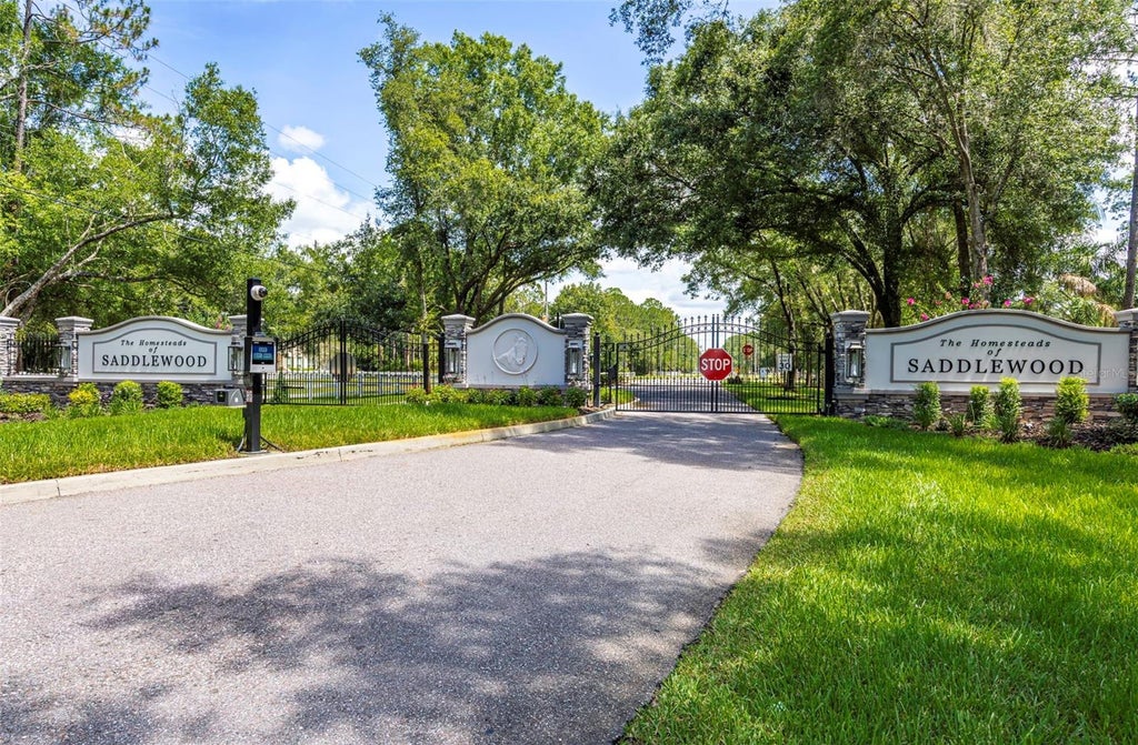 Photo of 8844 Shenandoah Run, Wesley Chapel, FL 33544 (MLS # O6418920)
