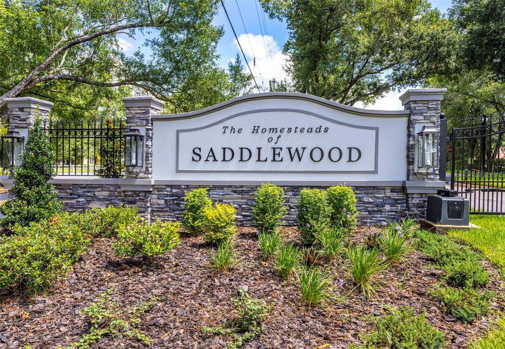 Photo of 8844 Shenandoah Run, Wesley Chapel, FL 33544 (MLS # O6418920)