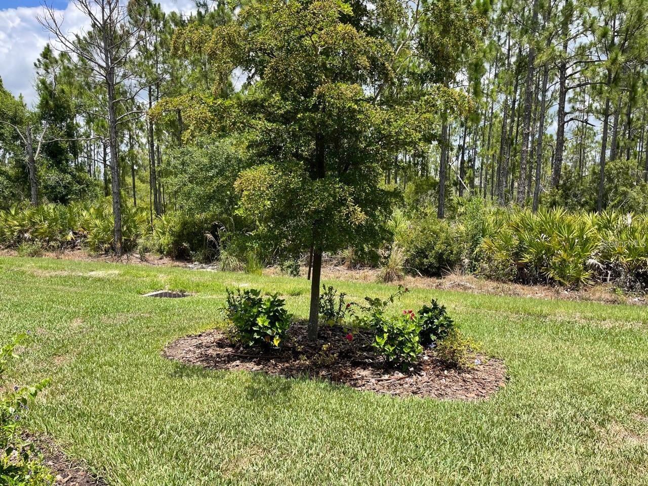 CYPRESS FALLS PH 2E - Residential