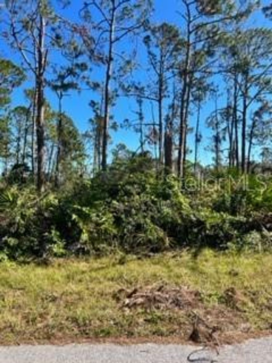 BUILD YOUR DREAM HOME!  This residential lot is on a nice, quiet street in the rapidly growing community of Port Charlotte.  It is not in a scrub jay zone per county records.  The property is close to U.S. 41, shopping, MLB spring training camps and the beautiful Gulf of Mexico beaches are a short 30 minute drive away.  Buy now before prices rise!