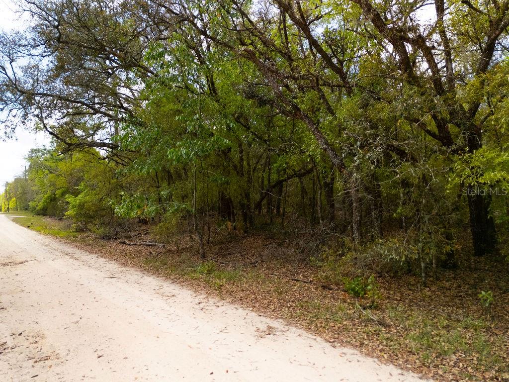 NORTH SOUTH ESTATE - Land