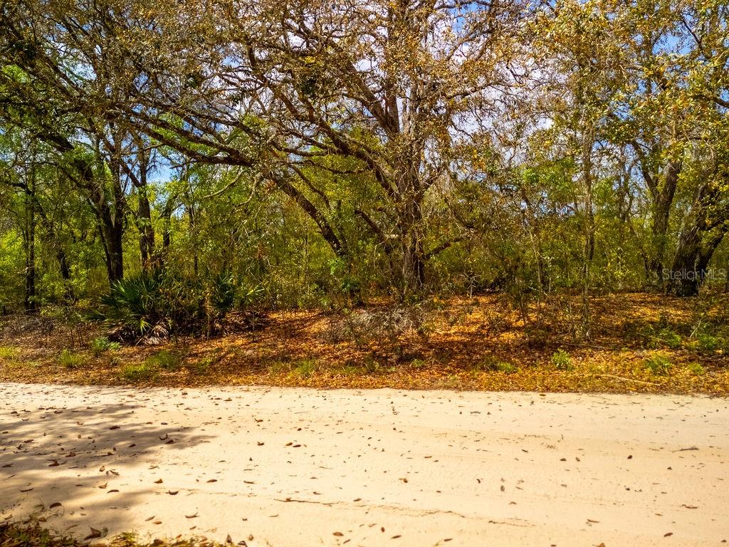 NORTH SOUTH ESTATE - Land