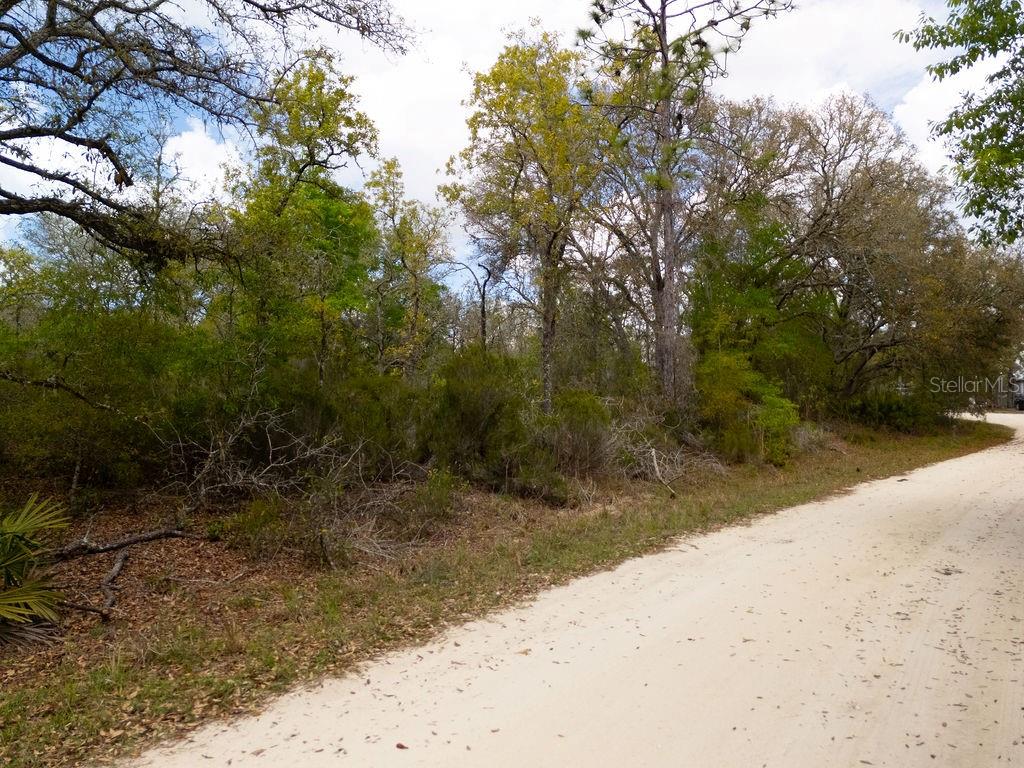 NORTH SOUTH ESTATE - Land