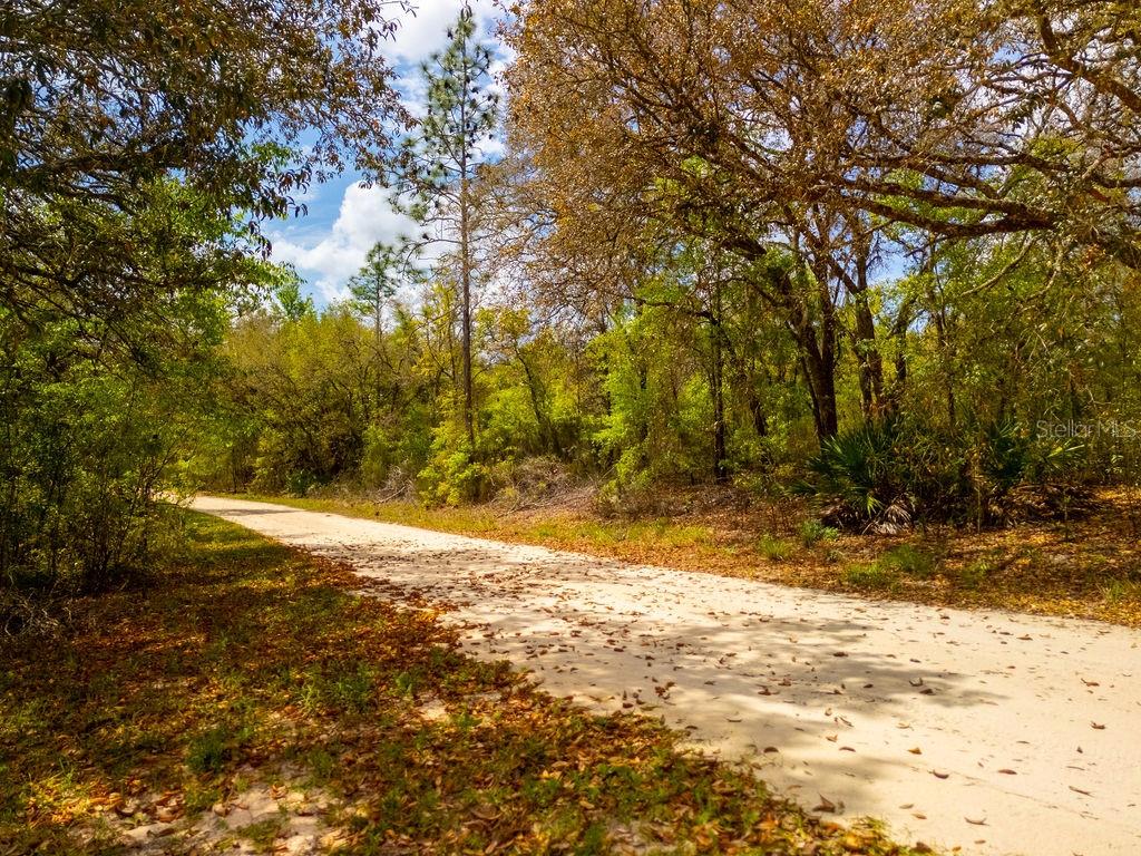 NORTH SOUTH ESTATE - Land