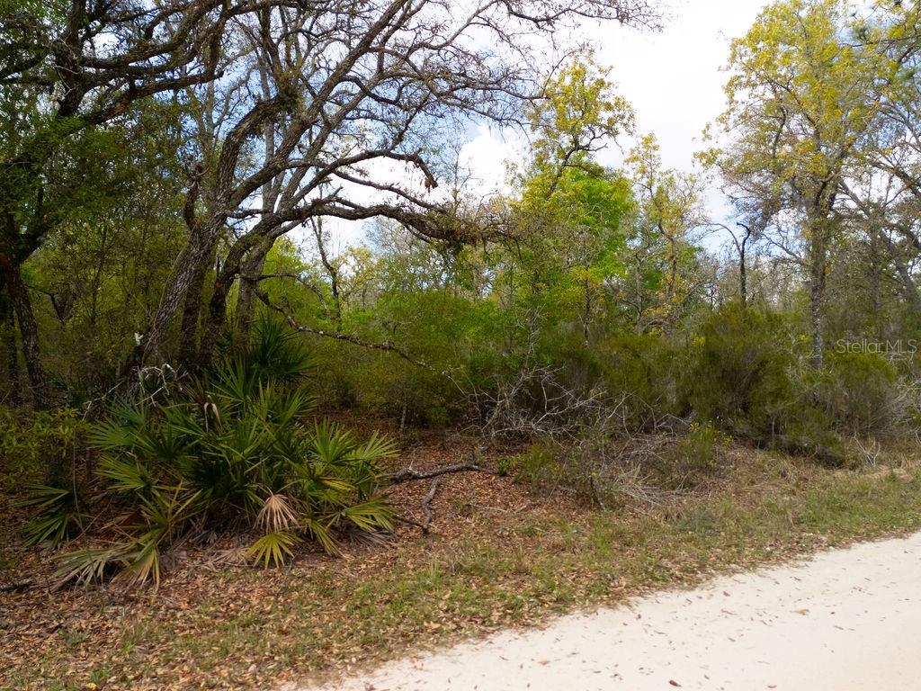 NORTH SOUTH ESTATE - Land