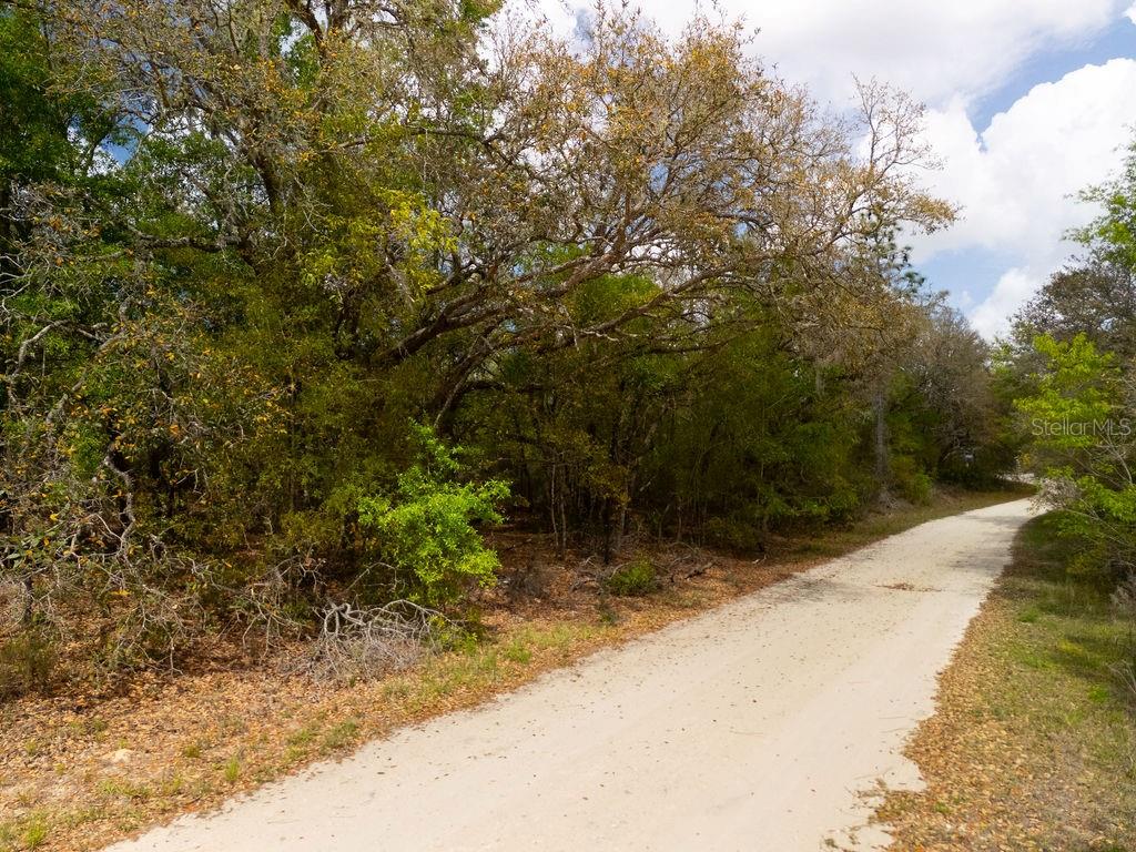 NORTH SOUTH ESTATE - Land