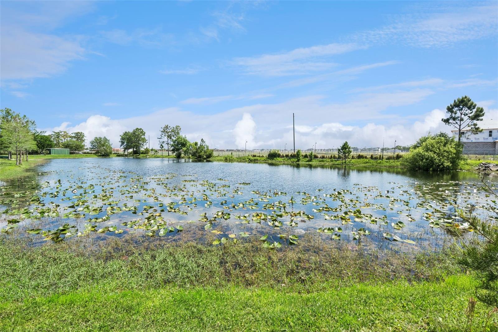 ACREAGE & UNREC - Residential