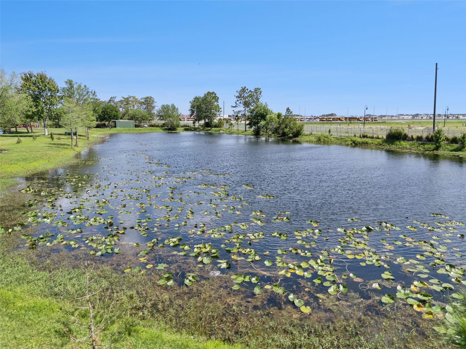 ACREAGE & UNREC - Residential