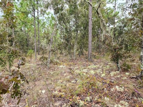 SW 87TH STREET DUNNELLON FL 34432