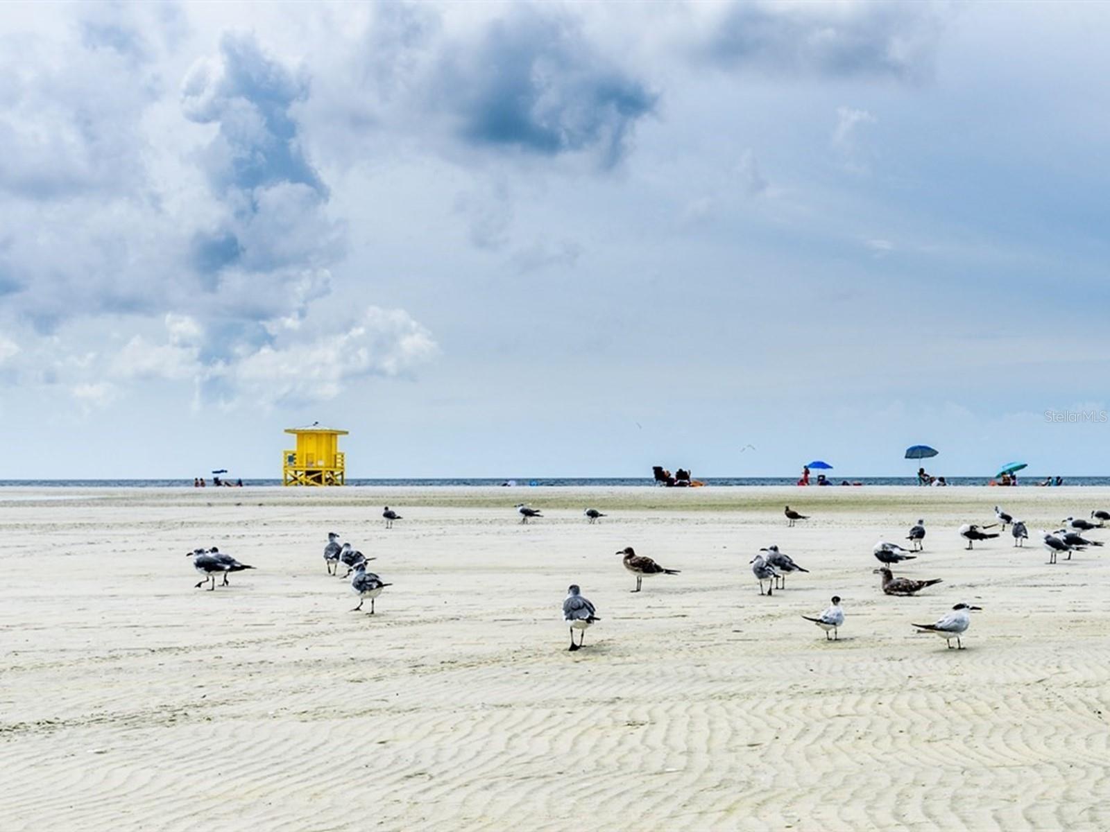 BAY ISLAND SHORES - Residential