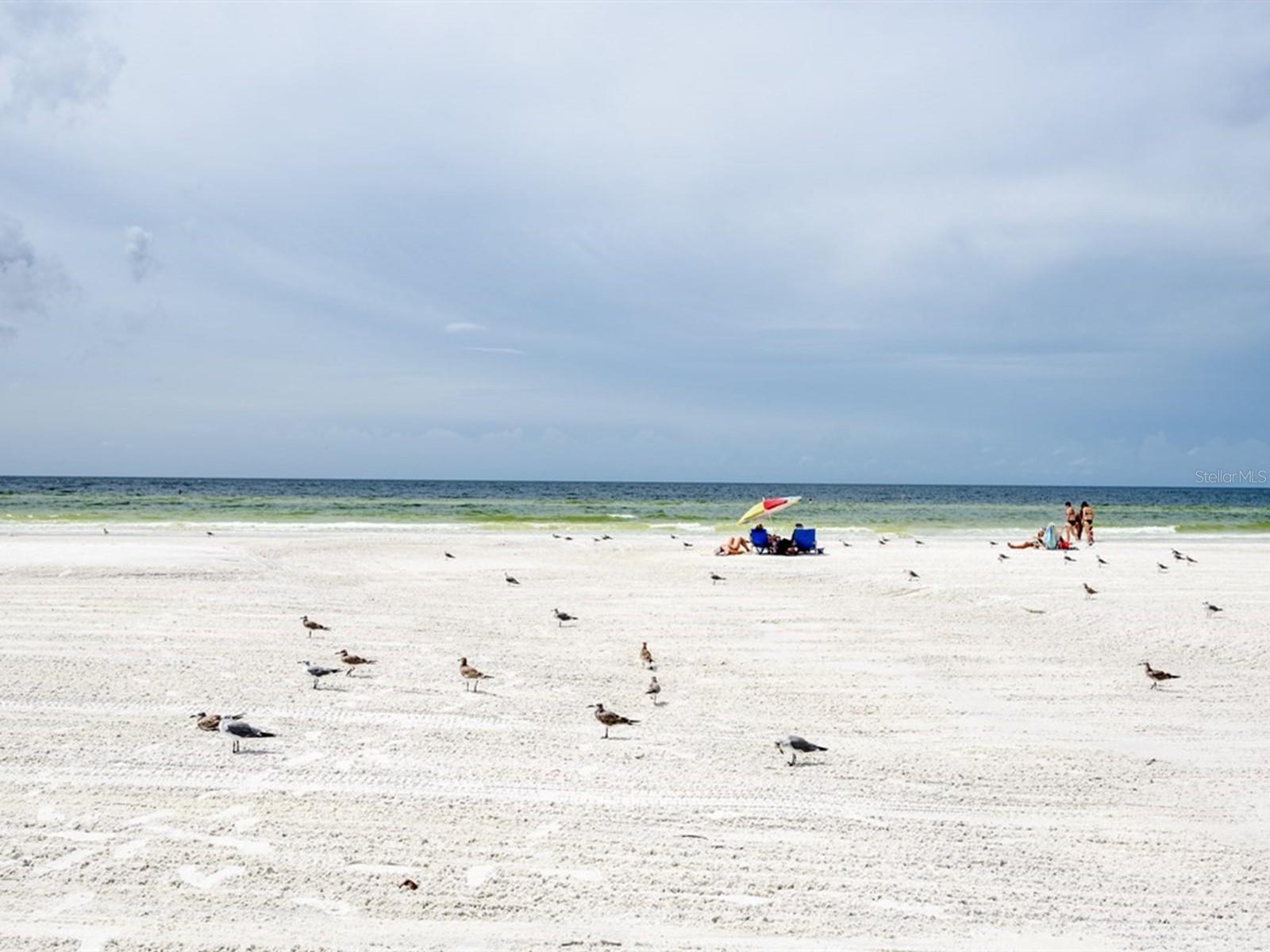 BAY ISLAND SHORES - Residential