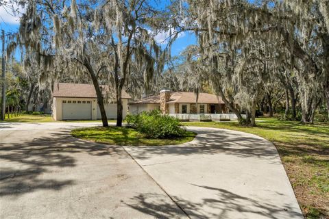 A home in RIVERVIEW