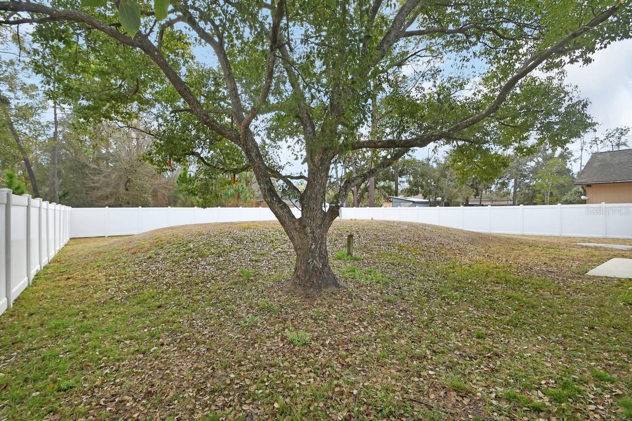 DAYTONA PARK ESTATES SEC F - Residential