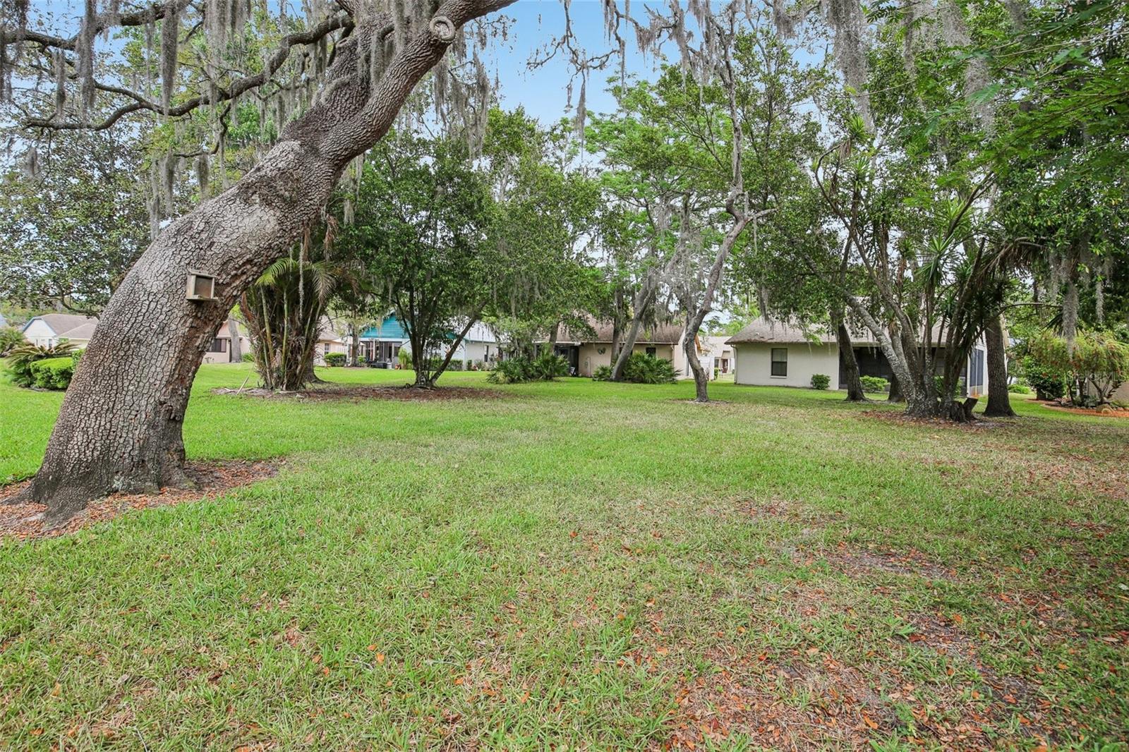 ARBORWOOD AT SUMMERTREE - Residential