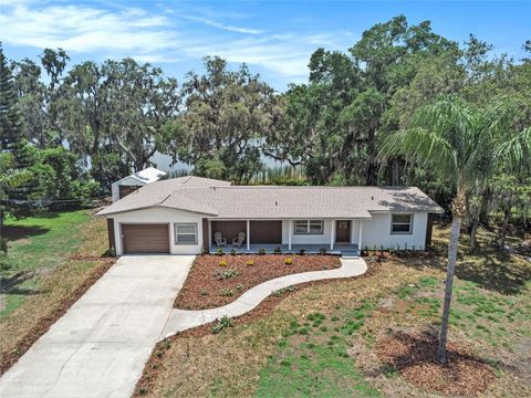 Photo of 14050 Blackjack Road, Dover, FL 33527 (MLS # O6392370)
