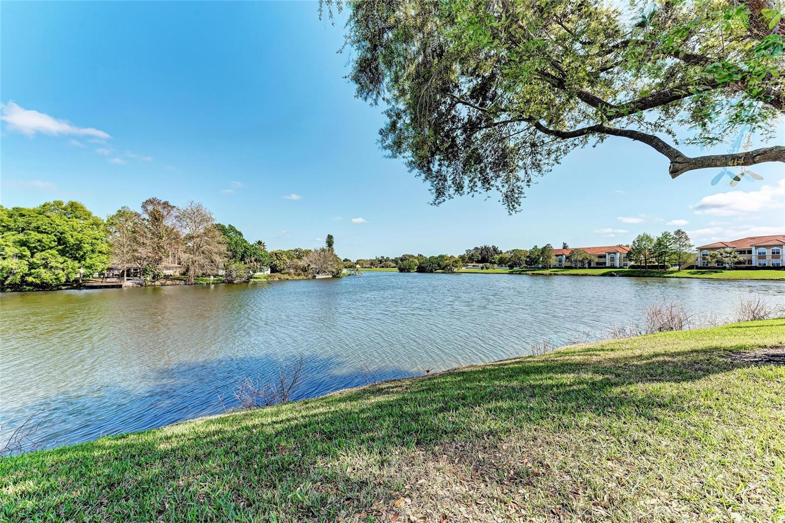 VILLAGIO - Residential