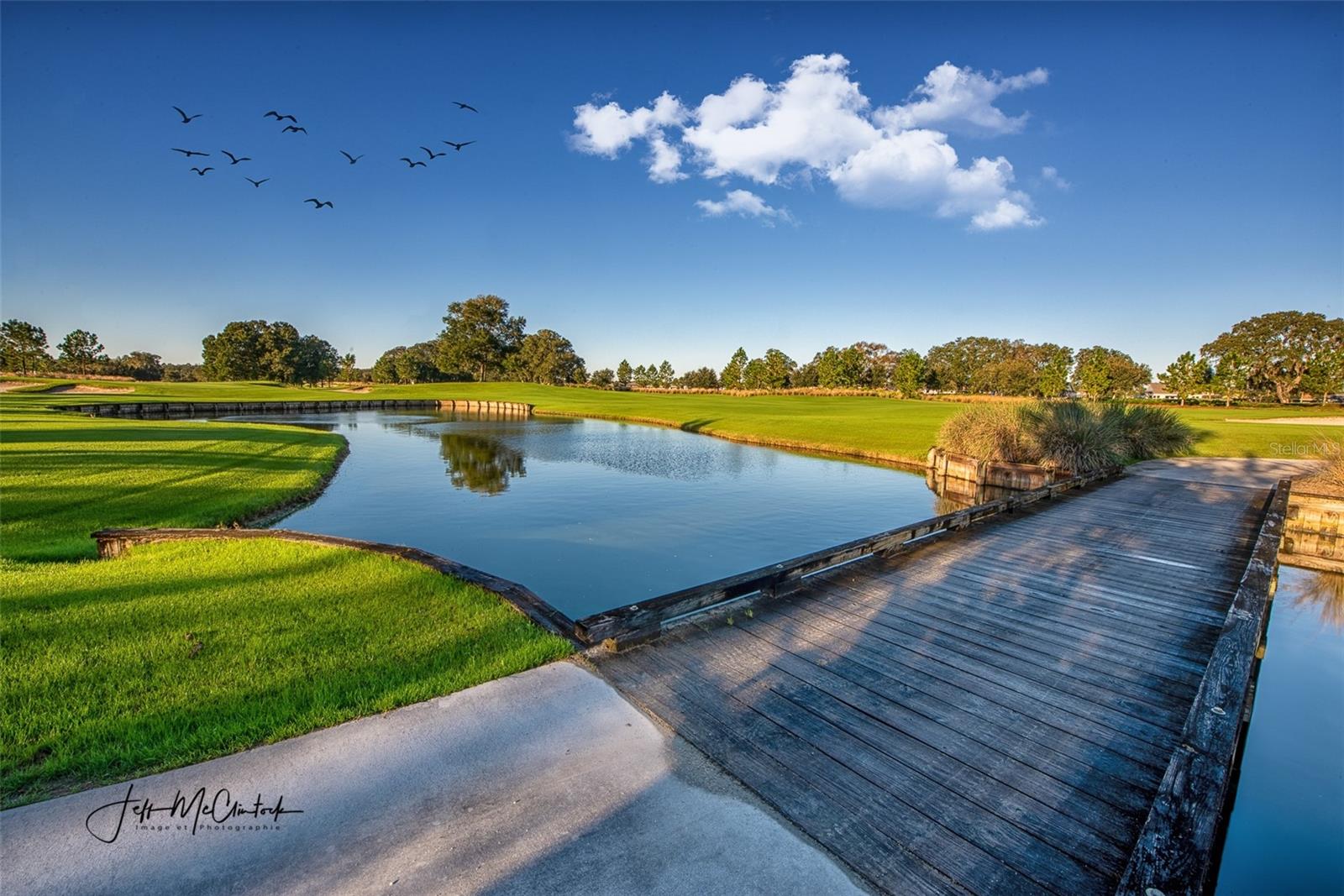 OCALA PRESERVE PH 1 - Residential