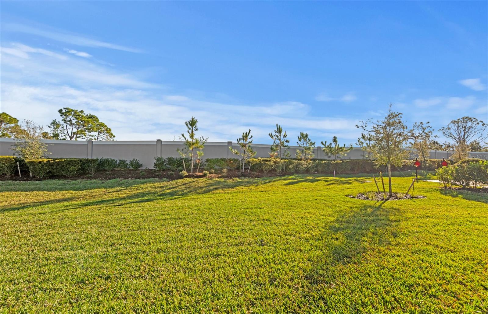 ARBOR OAKS AT THE WOODLANDS - Residential