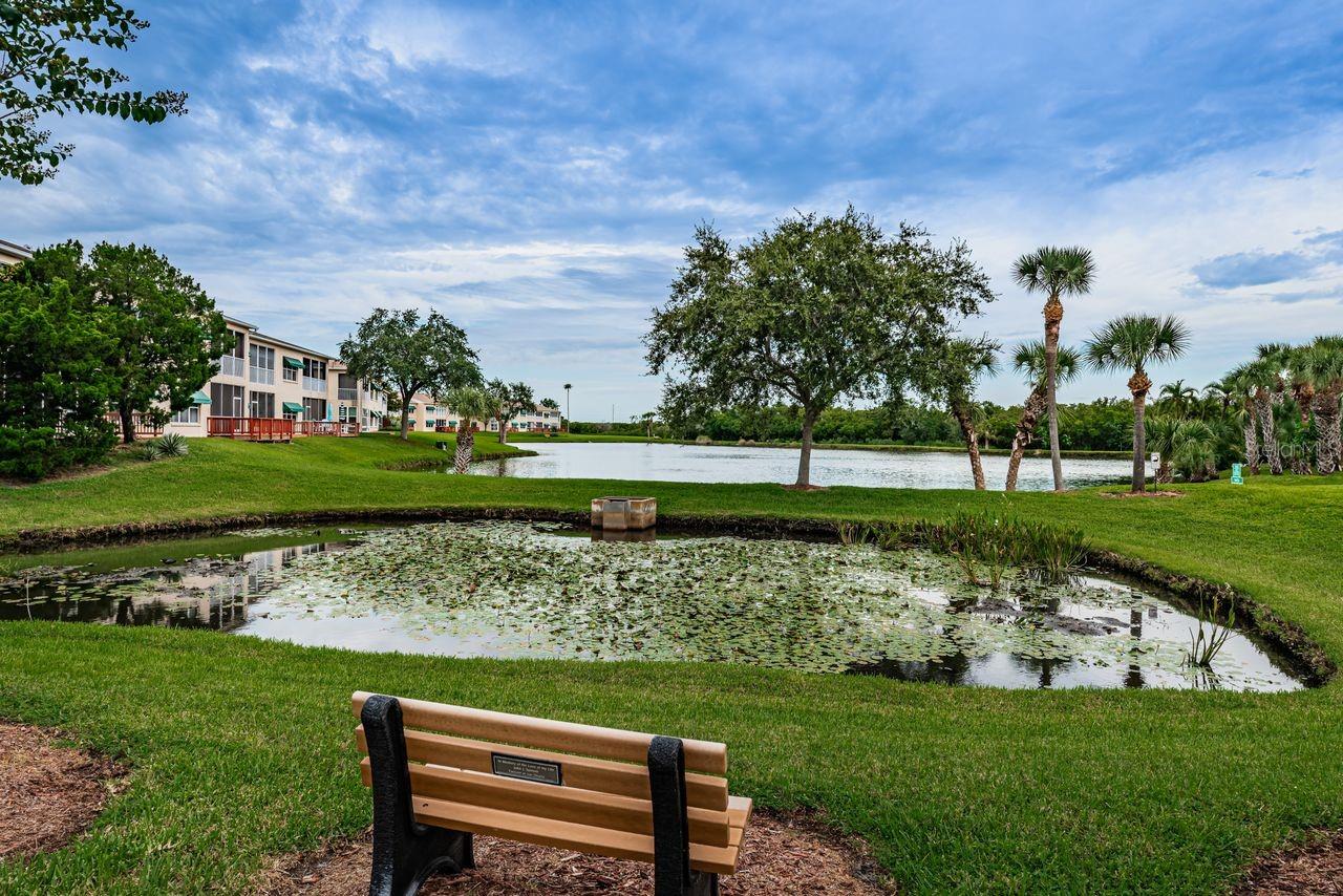 SHORES OF LONG BAYOU CONDO - Residential