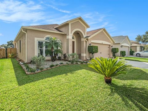 A home in VALRICO