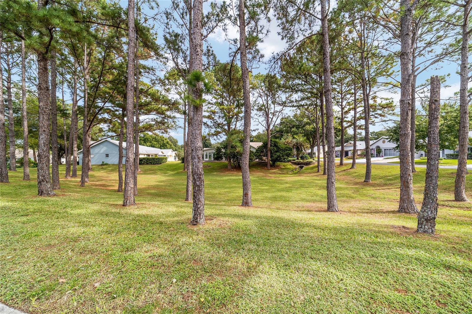 ON TOP OF THE WORLD - Residential