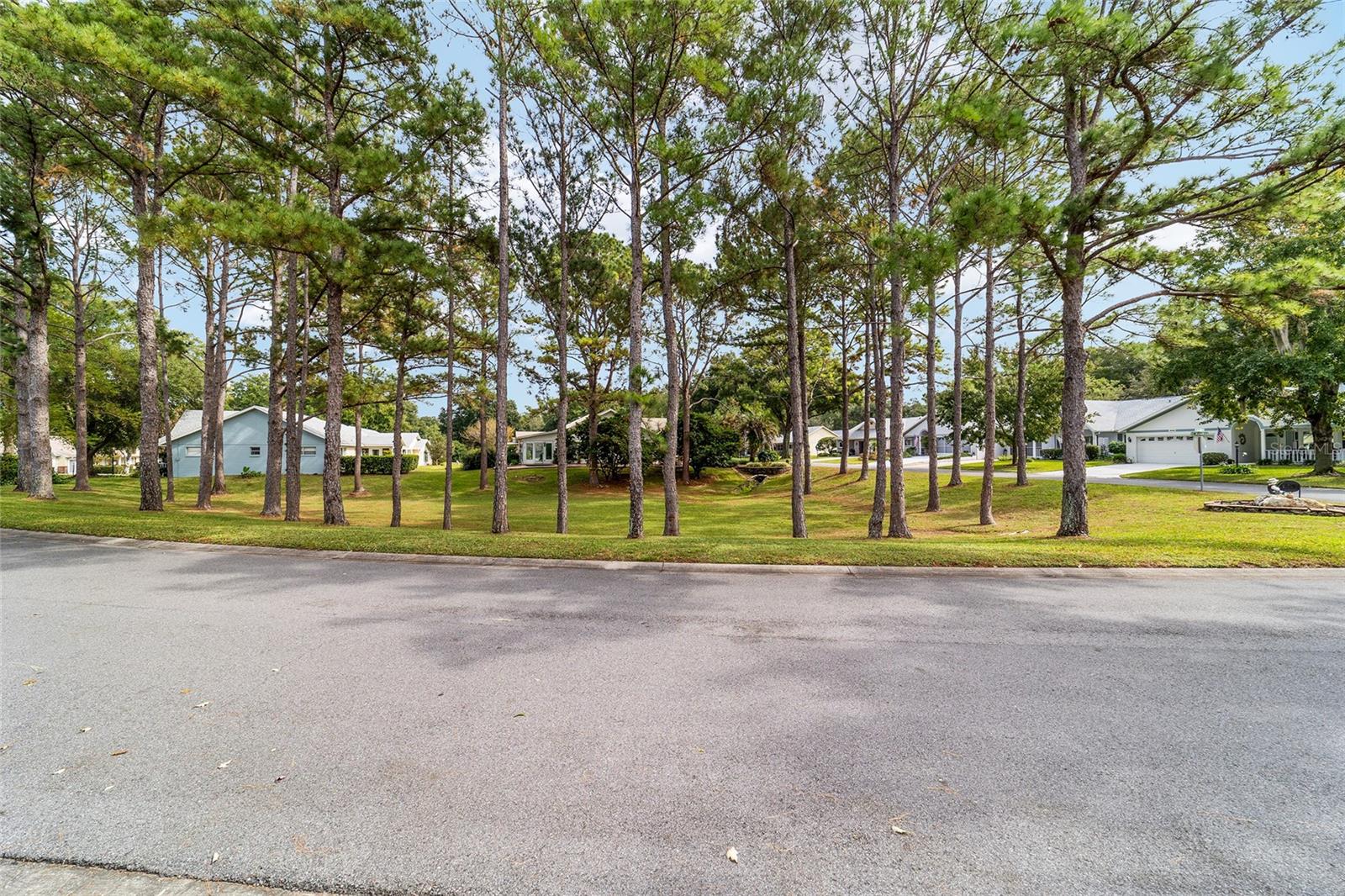 ON TOP OF THE WORLD - Residential