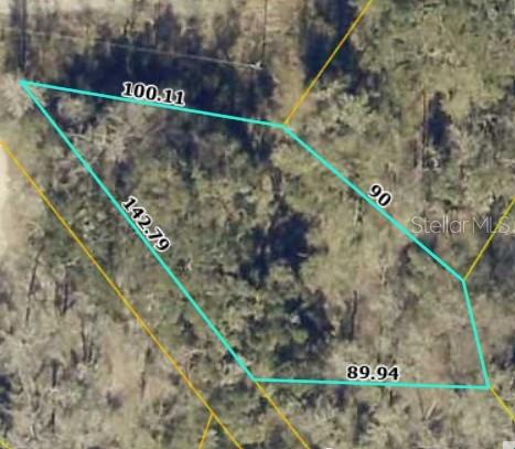 Photo of 1 SW 129th Boulevard, Webster, FL 33597 (MLS # OM731322)