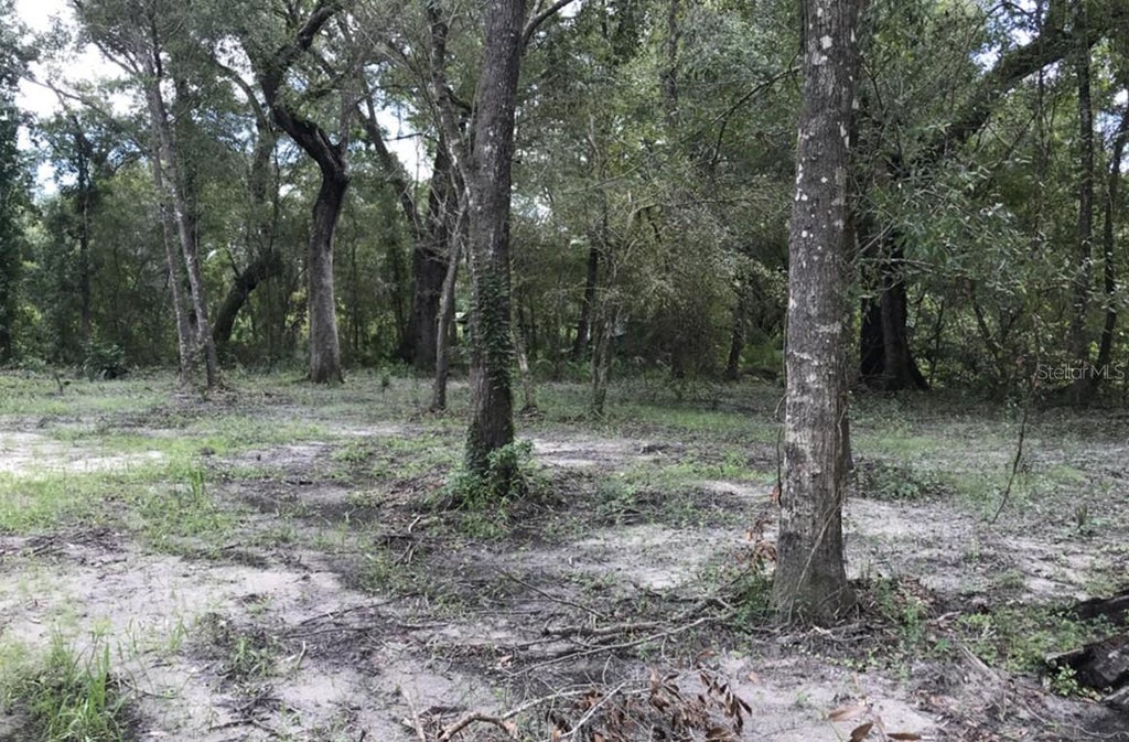 Photo of 1 SW 129th Boulevard, Webster, FL 33597 (MLS # OM731322)
