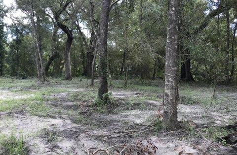 Tiny photo for 1 SW 129th Boulevard, Webster, FL 33597 (MLS # OM731322)