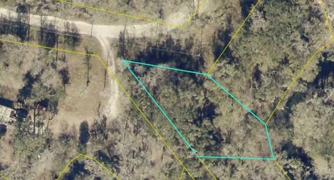 Tiny photo for 1 SW 129th Boulevard, Webster, FL 33597 (MLS # OM731322)