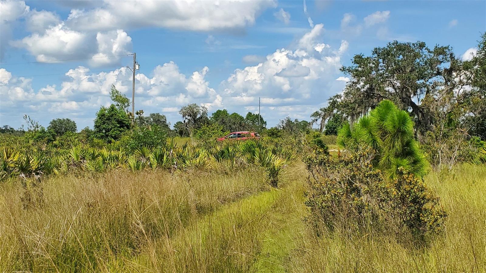 AVON PARK ESTATE - Land