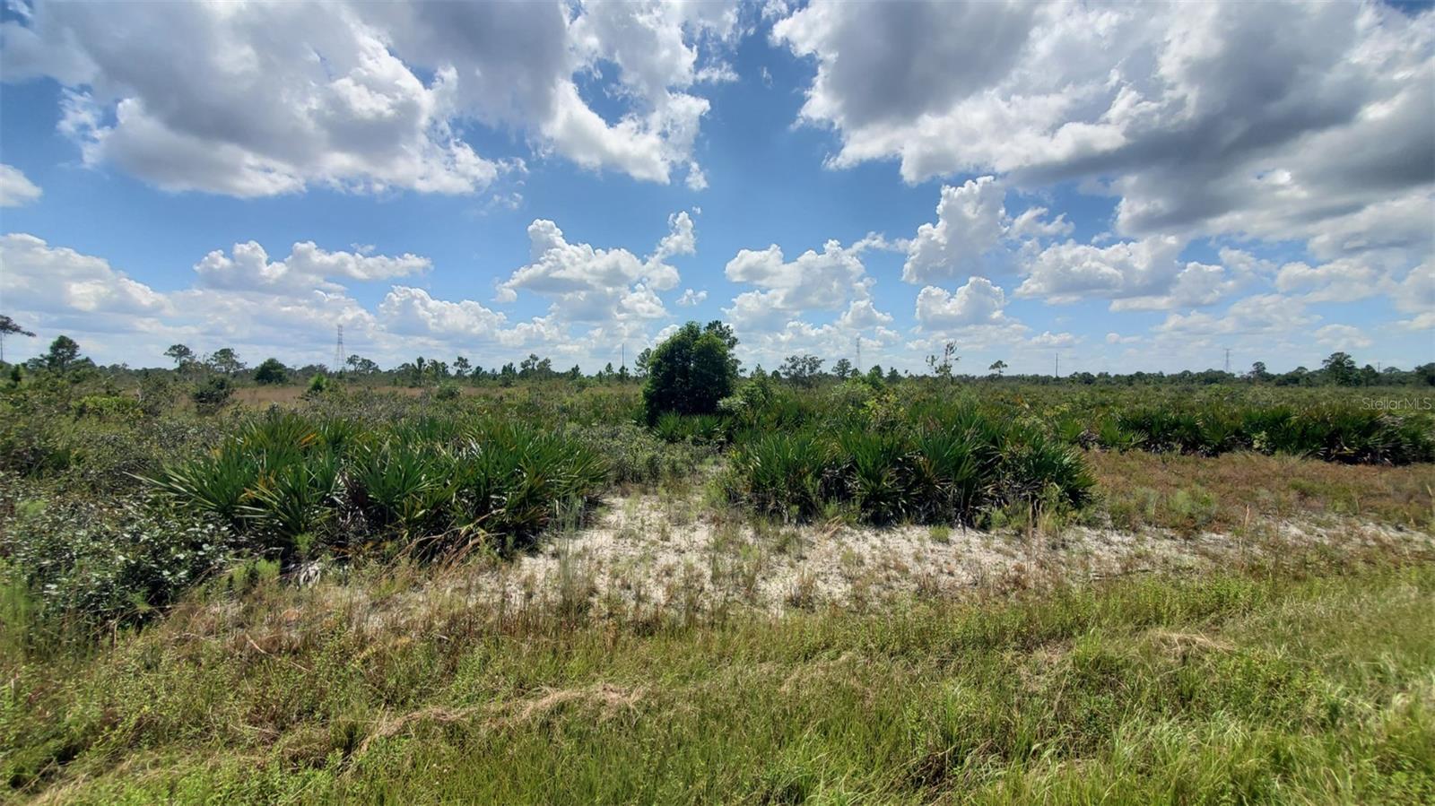 AVON PARK ESTATE - Land