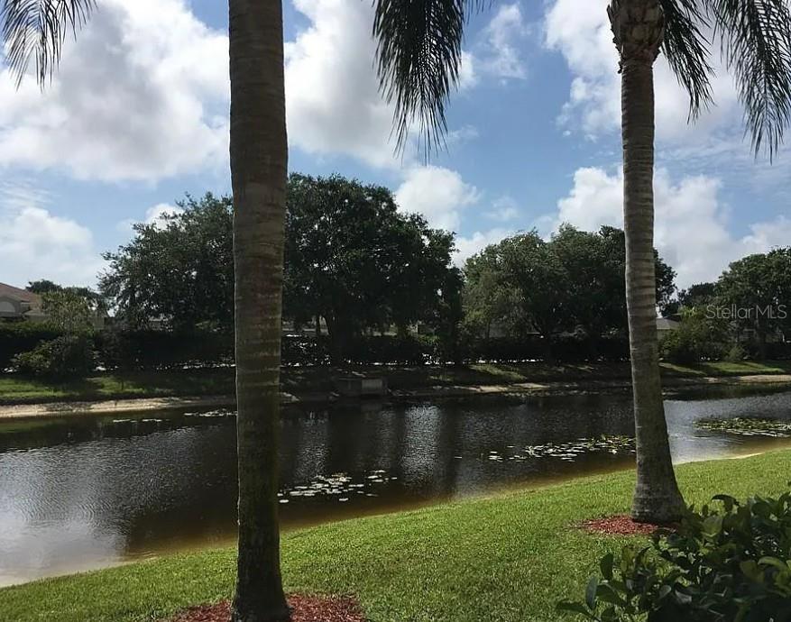 SERENADE ON PALMER RANCH - Residential Lease