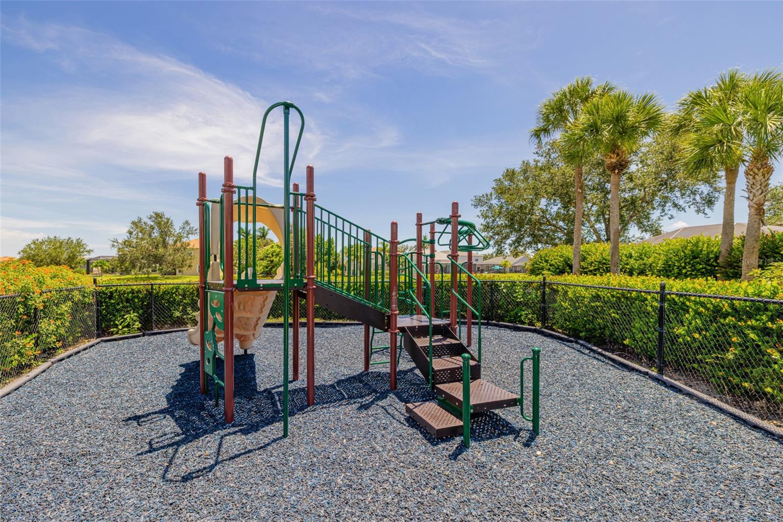 GLADIOLUS PRESERVE - Residential