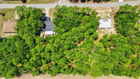Tiny photo for 10858 N Elkcam Boulevard, Citrus Springs, FL 34433 (MLS # TB8508550)
