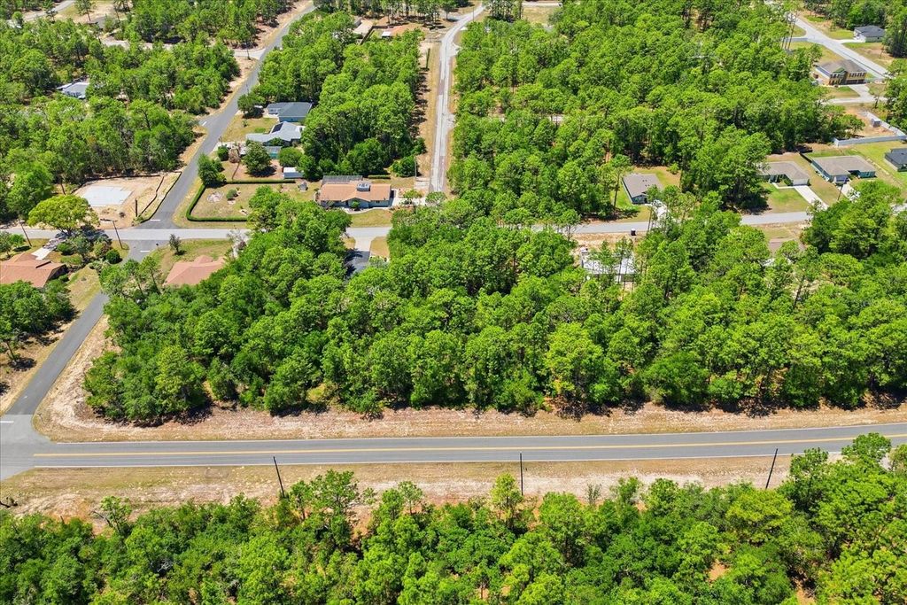 Photo of 10858 N Elkcam Boulevard, Citrus Springs, FL 34433 (MLS # TB8508550)