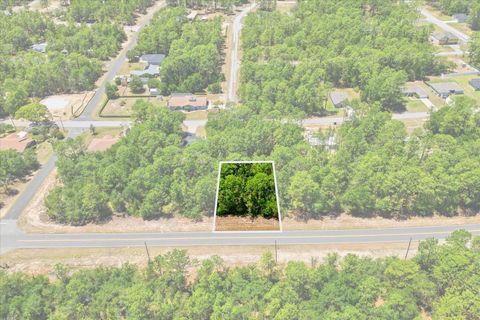 Tiny photo for 10858 N Elkcam Boulevard, Citrus Springs, FL 34433 (MLS # TB8508550)
