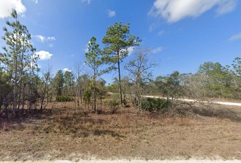 16341 KINGBIRD ROAD BROOKSVILLE FL 34614