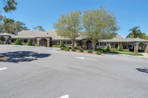 A home in SPRING HILL