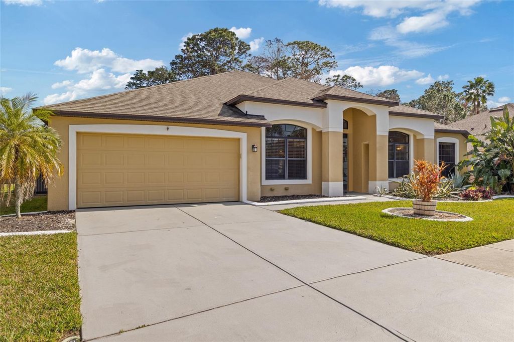 Photo of 10918 Rain Lilly Pass, Land O Lakes, FL 34638 (MLS # T3552117)