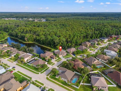 A home in LAND O LAKES