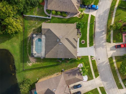 A home in LAND O LAKES