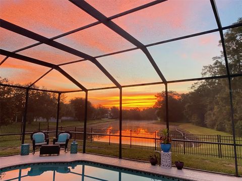 A home in LAND O LAKES