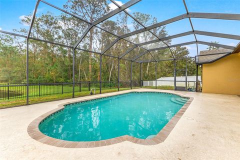 A home in LAND O LAKES