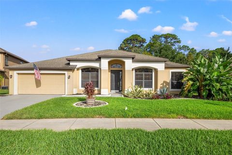 A home in LAND O LAKES