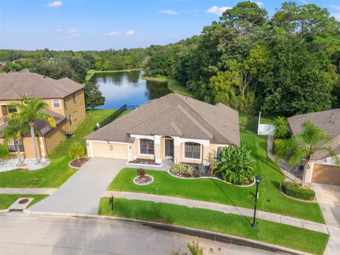 A home in LAND O LAKES