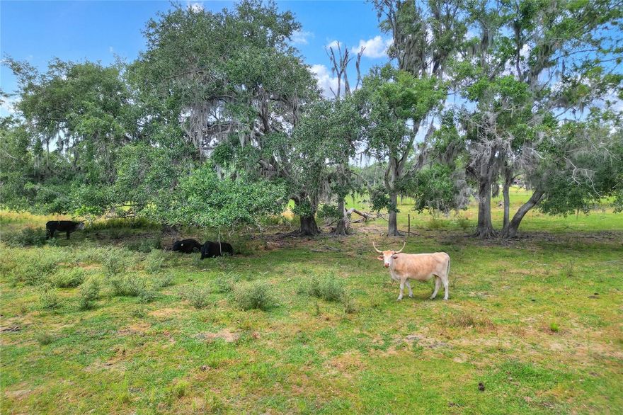 LOT 2 - ACREAGE HOMESITE IN LITHIA! This homesite offers a blank canvas for your rural homestead! With 5 acres in the country, you'll have room for animals, a garden and plenty of room for a spectacular outside living space! Each lot has large, statement oaks on the property and wide-open, thriving pastures. Enjoy the breathtaking sunrises and sunsets with the uninhibited views that come with country-living! Less than 15 minutes to Fishhawk, you'll be conveniently located to schools, shopping and dining! With Alafia River State Park, Chito Branch Preserve and Alderman's Ford, there are ample opportunities less than 10 minutes away to enjoy the outdoors! Additional adjoining land available!