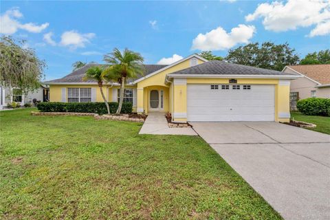 4125 MC CLUNG DRIVE NEW PORT RICHEY FL 34653